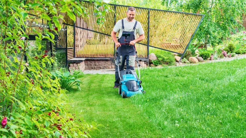 Expert Lawn Maintenance Services in Southlake, TX
