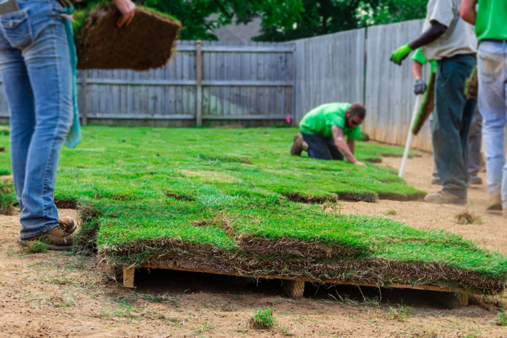 How Professional Landscaping Enhances Property Functionality and Long-Term Value