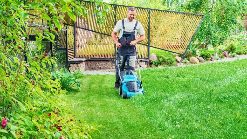 Lawn Maintenance Services in Haltom City, TX