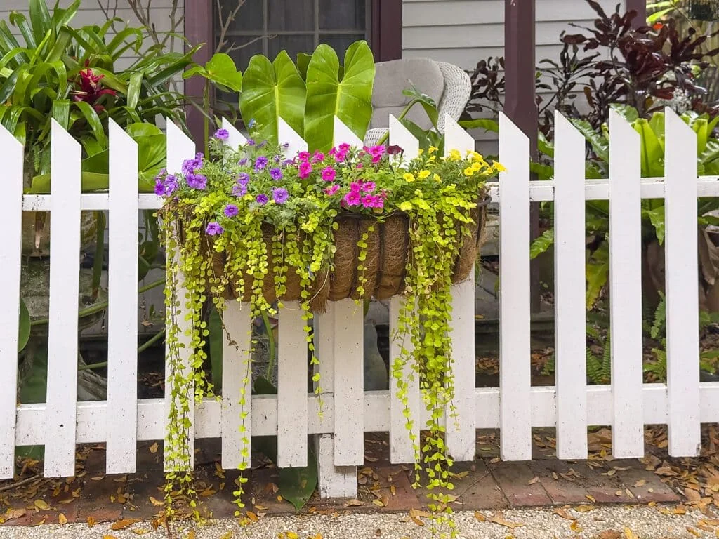 Professional wood fence installation at Arlington Texas home