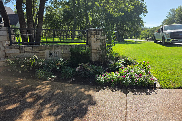 Lawn Maintenance and Professional Yardwork