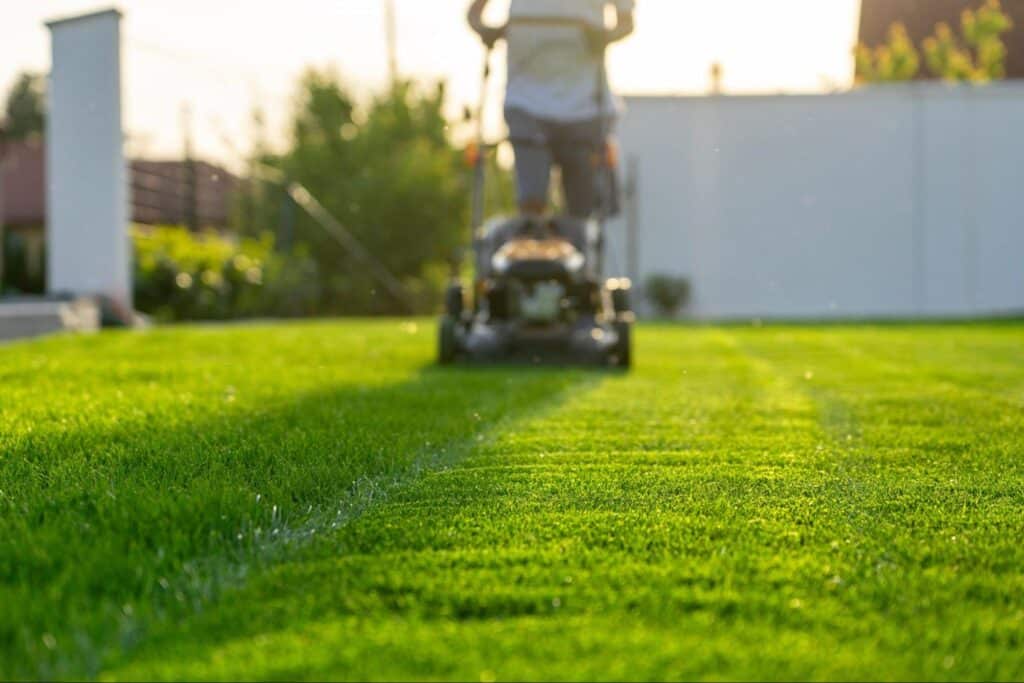 Arlington homeowner saving time with lawn maintenance service