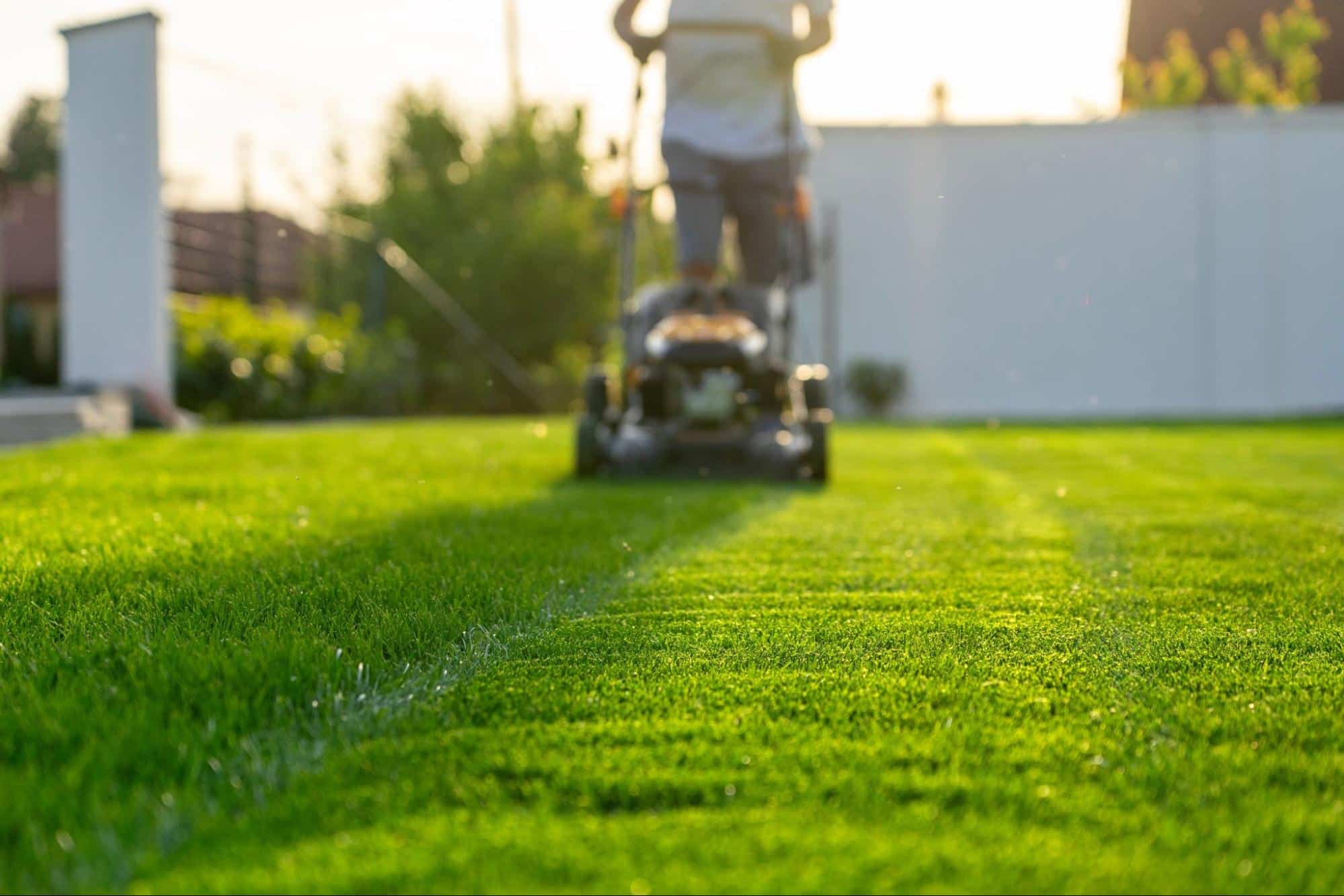 Why Professional Lawn Maintenance Saves You Time in Arlington, TX