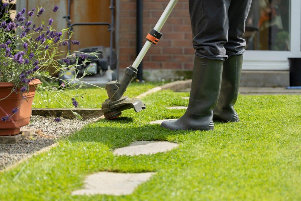 Professional lawn care services improving curb appeal in Arlington Texas