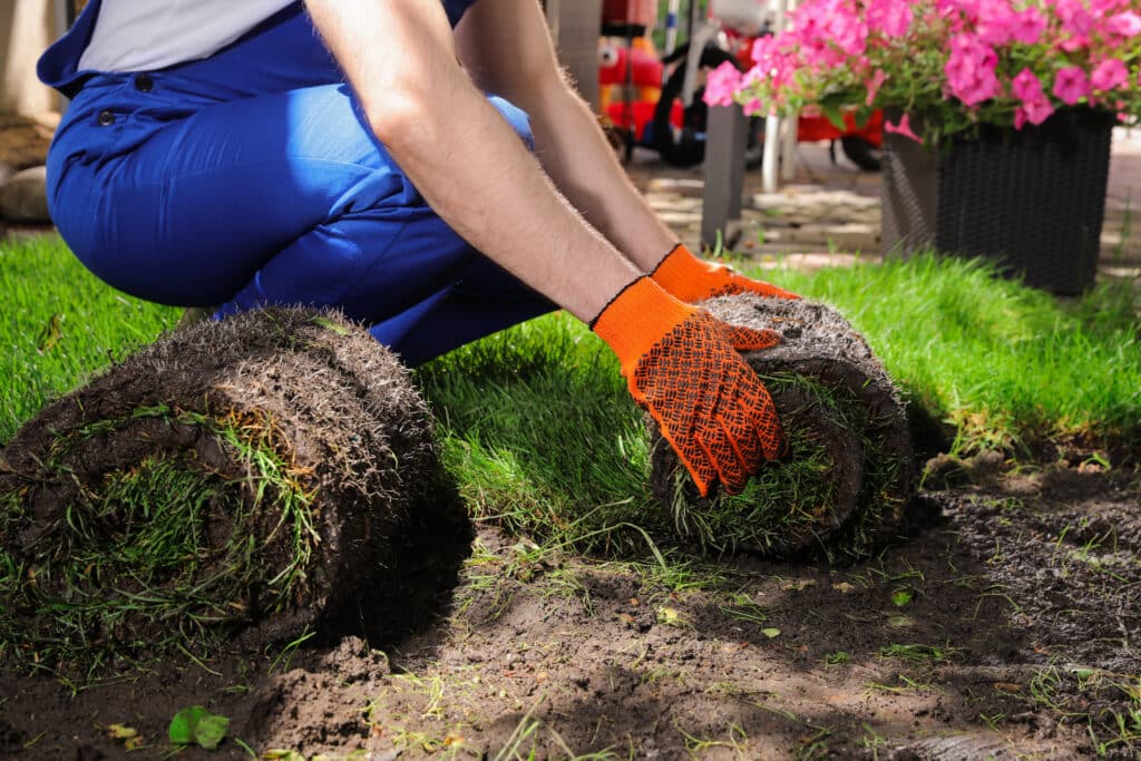 Why Landscape Design and Installation Should Be Planned Together, Not Separately