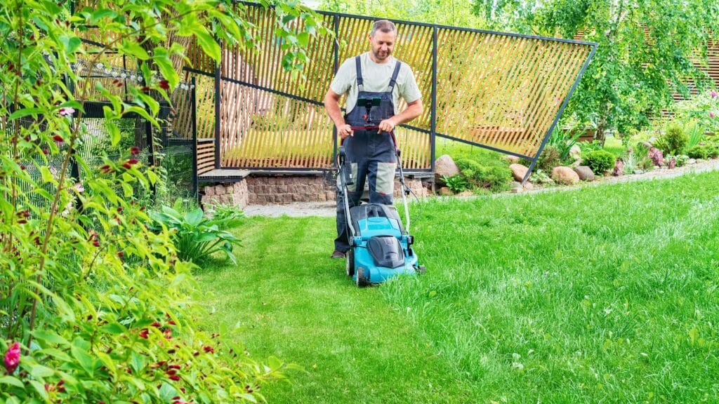 Lawn Maintenance Services in Haltom City, TX