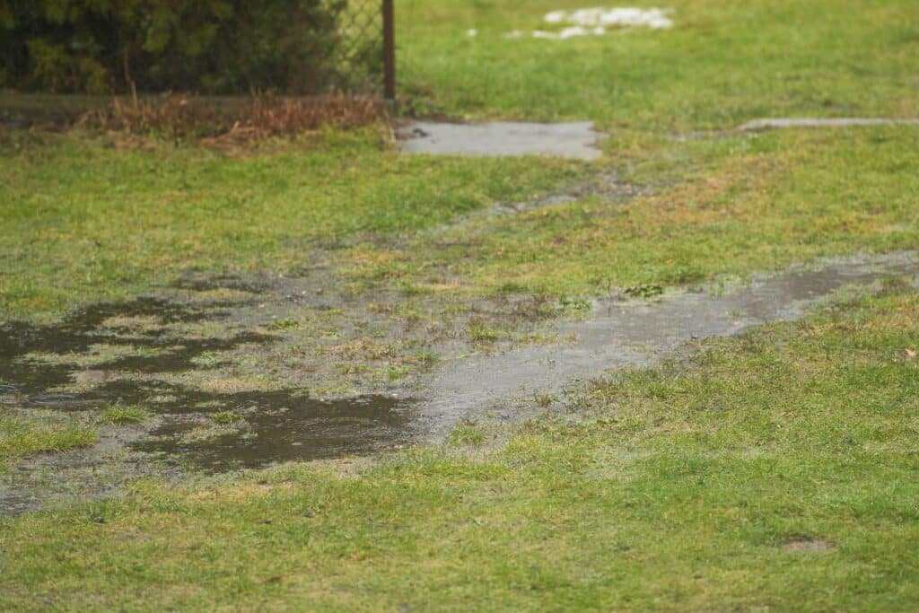 Hidden Connection Between Poor Yard Drainage and Mosquito Problems