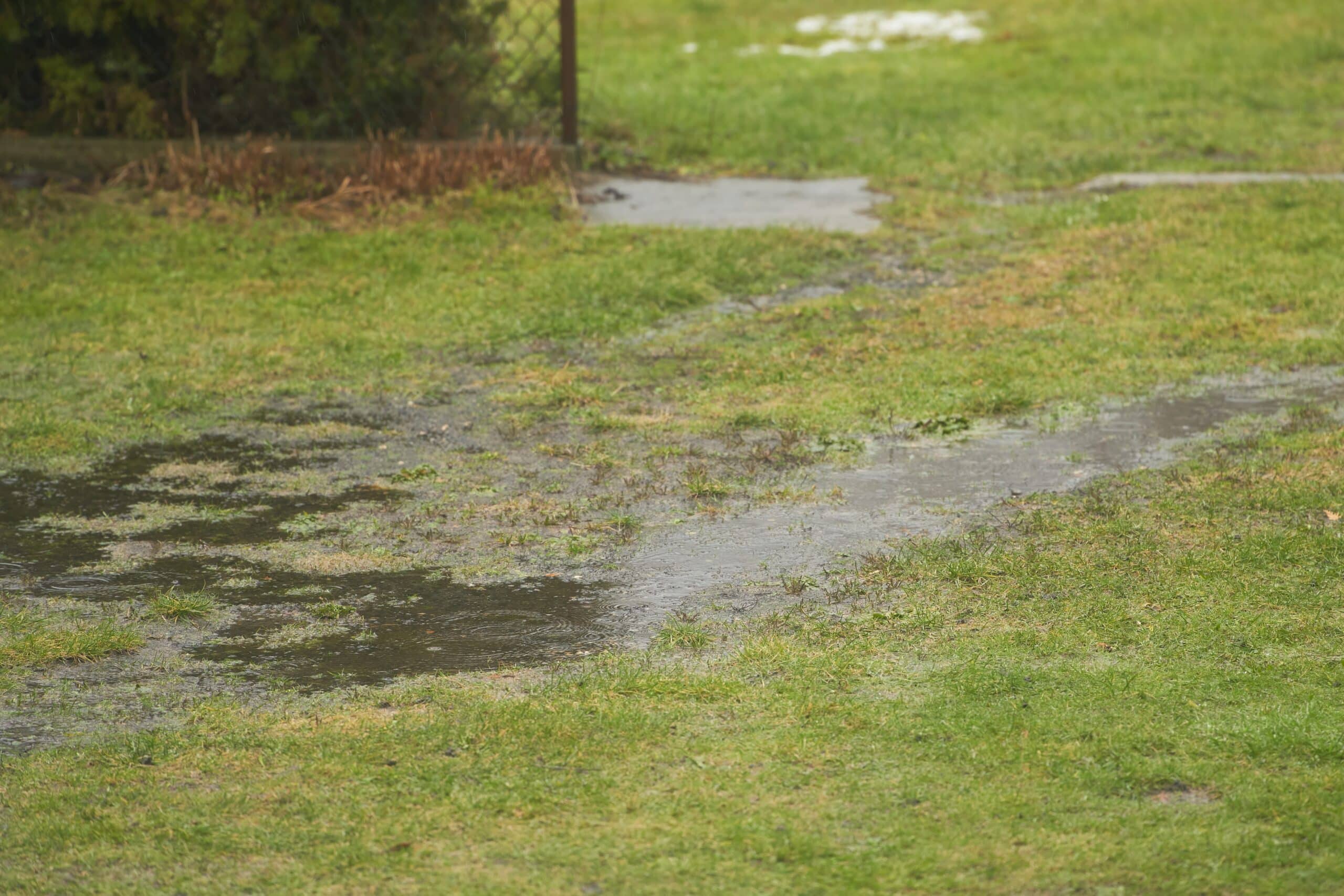 The Hidden Connection Between Poor Yard Drainage and Mosquito Problems