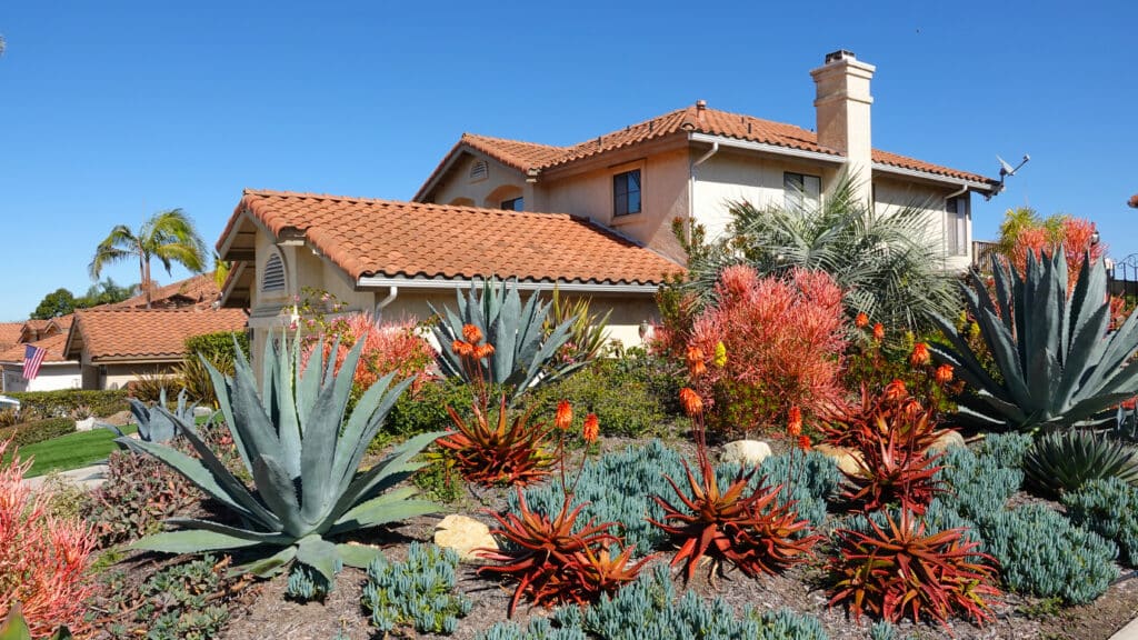 Xeriscape Landscaping in Fort Worth: Native Plants That Survive Texas Heat Without Constant Watering